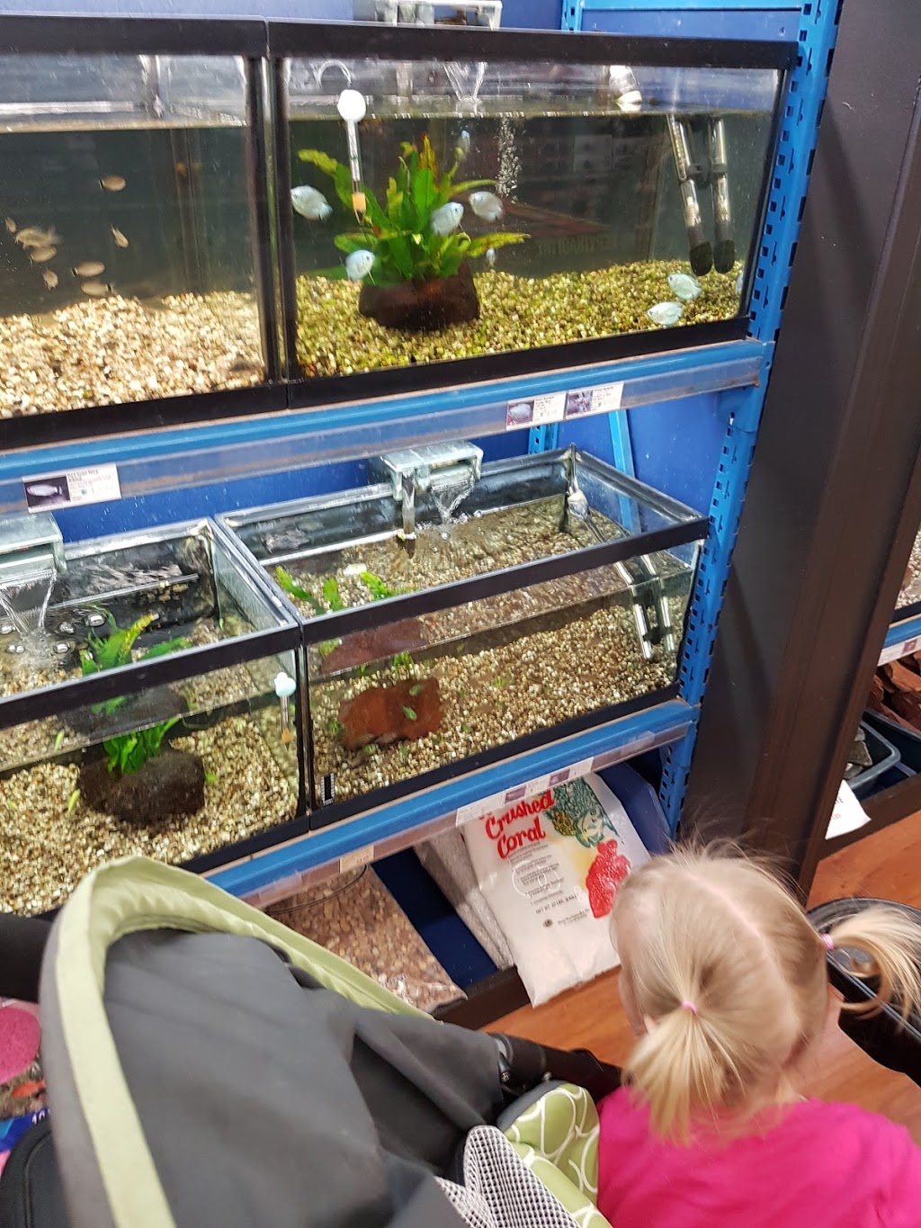 Paulmacs Pets | 410 Fairview Dr, Brantford, ON N3R 7V7, Canada | Phone: (519) 756-7710