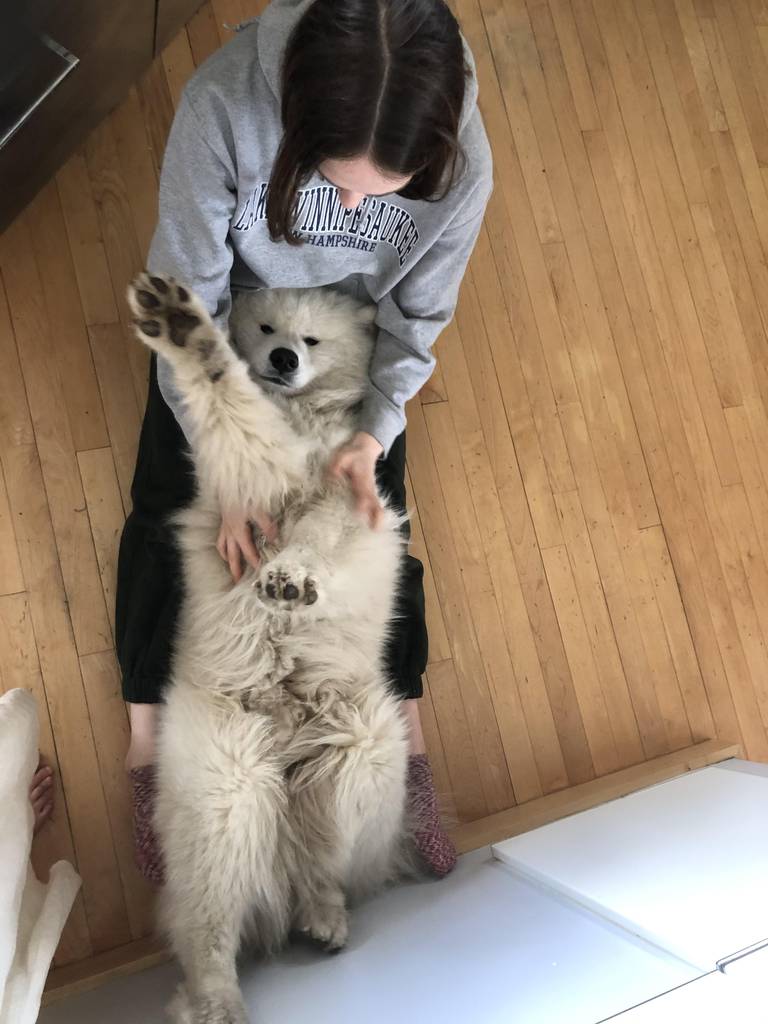 Olivia and The Dogs | 4475 Rue de Brébeuf, Montréal, QC H2J 3K8, Canada | Phone: (781) 535-4036