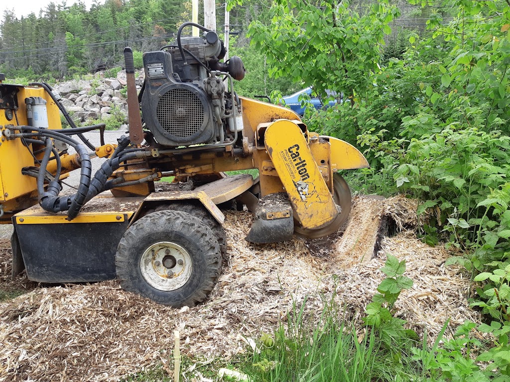 Arboriculture du fjord | 561 Delisle, Chicoutimi, QC G7G 3B7, Canada | Phone: (581) 234-4190