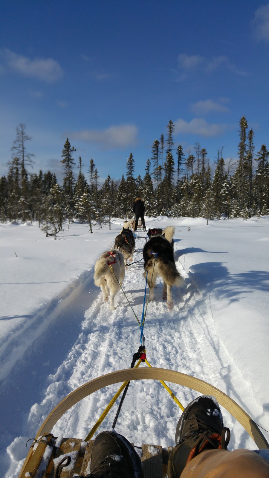 Siberlou | 749 Mnt de la Mer Bleue, LAscension, QC J0T 1W0, Canada | Phone: (819) 275-3957