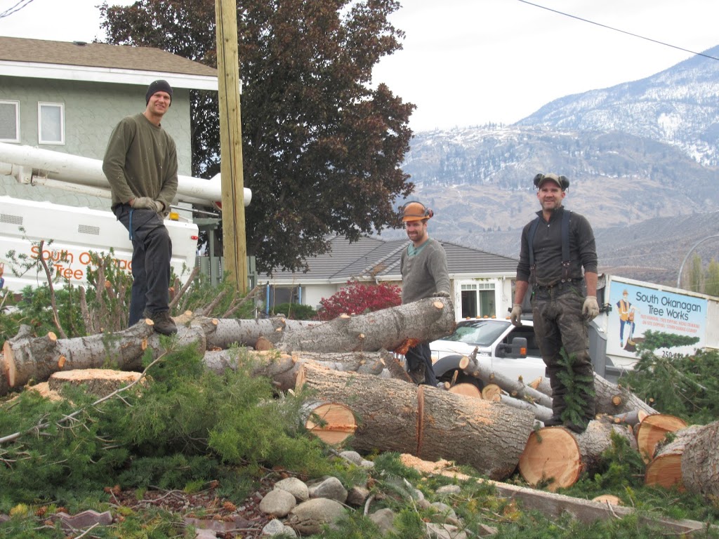 South Okanagan Tree Works | 10147 146 Ave, Osoyoos, BC V0H 1V2, Canada | Phone: (250) 498-9437