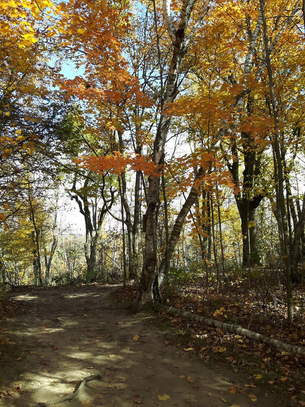 Limehouse Conservation Area | 12169 5th Line, Limehouse, ON L0P 1H0, Canada | Phone: (905) 670-1615
