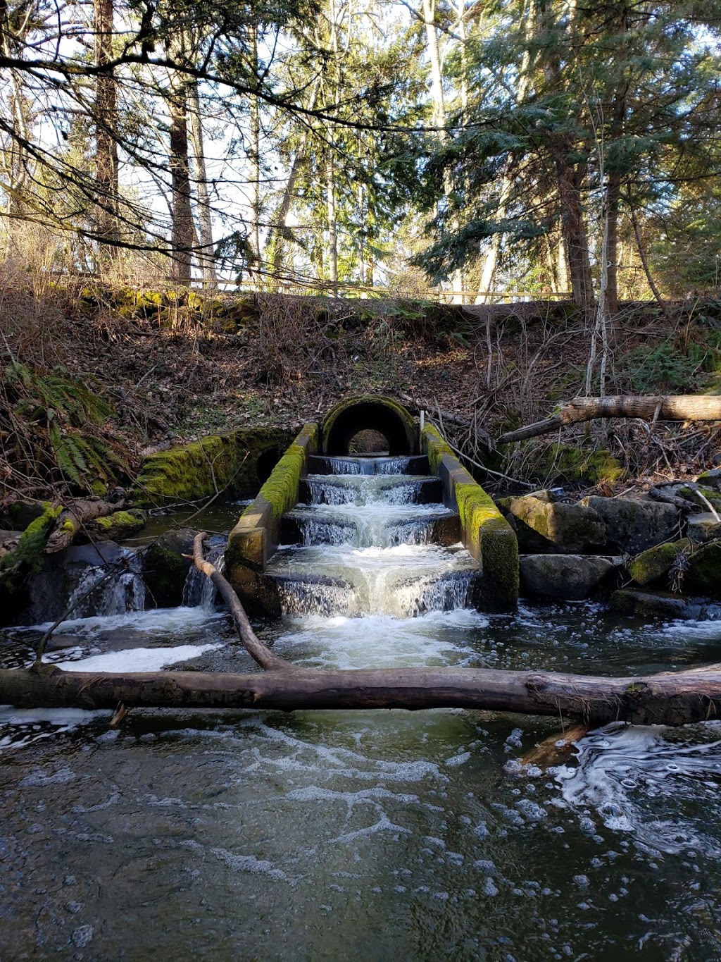 Fairhaven Park | 107 Chuckanut Dr N, Bellingham, WA 98225, USA | Phone: (360) 778-7100
