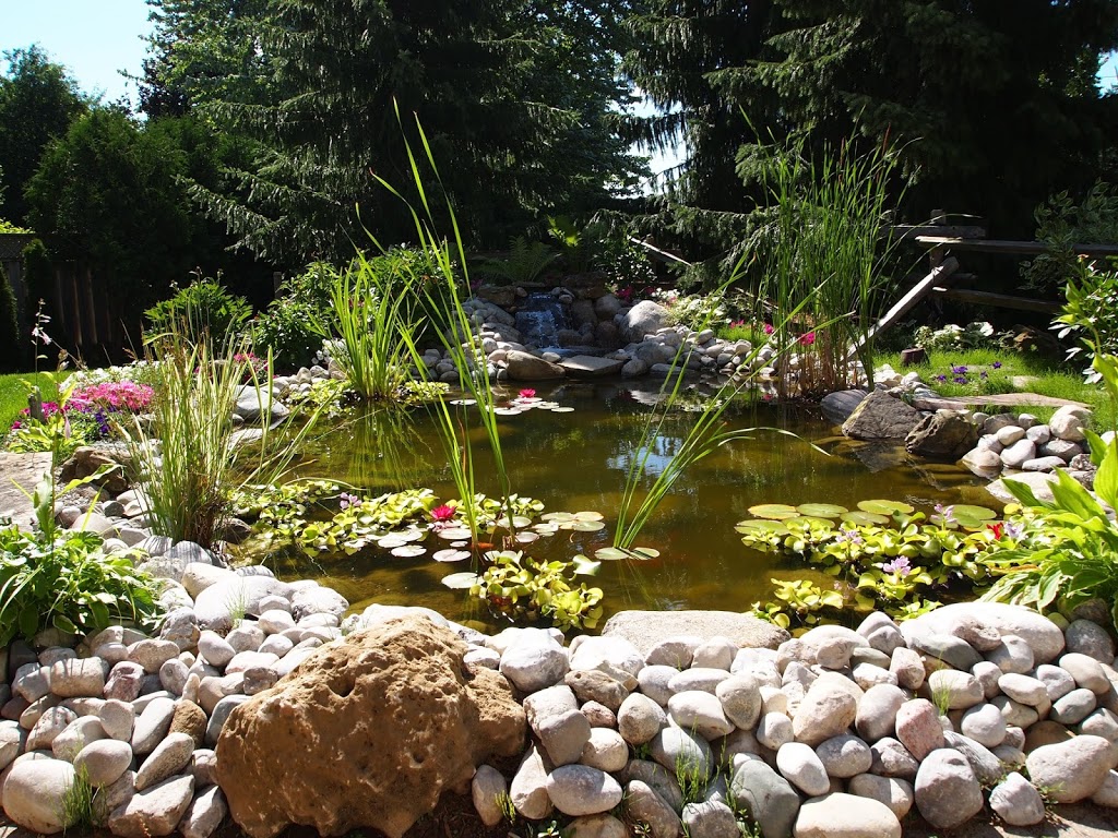 Olinger Joan L Dr | 95 Orkney Crescent, London, ON N5X 3R8, Canada | Phone: (519) 642-1084