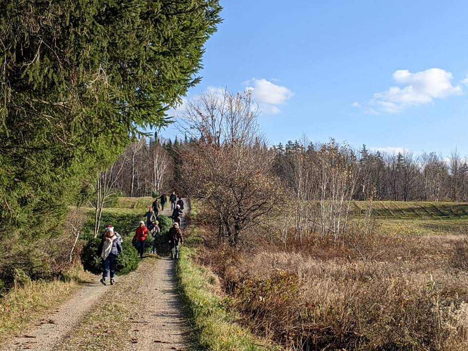 Plantation des Noëls dantan | 70 Rte du Barrage, Saint-Raphaël, QC G0R 4C0, Canada | Phone: (418) 955-9466