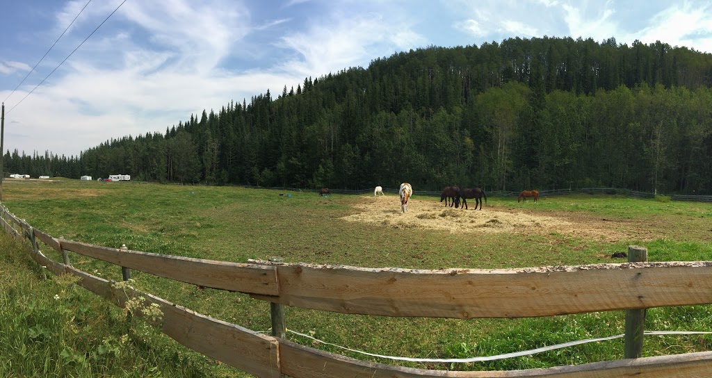 Anderson Valley Ranch | Mountain View County, AB T0M 2E1, Canada | Phone: (403) 637-3737