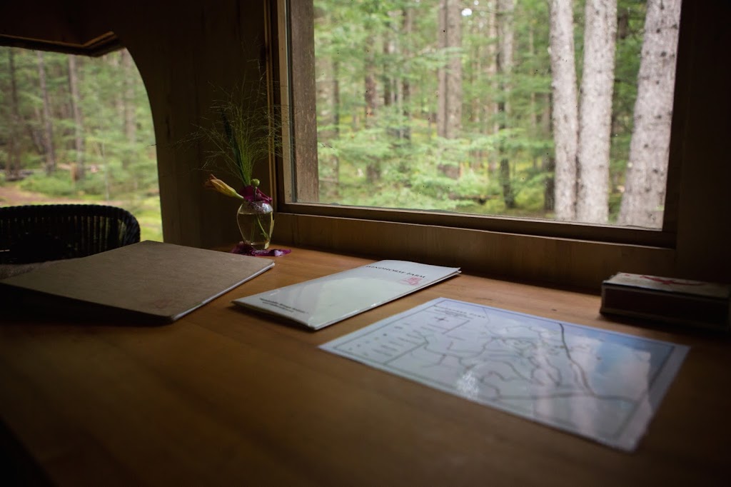 Windhorse Farm | 129 Sarty Rd, Wentzells Lake, NS B4V 4J6, Canada | Phone: (902) 543-6955