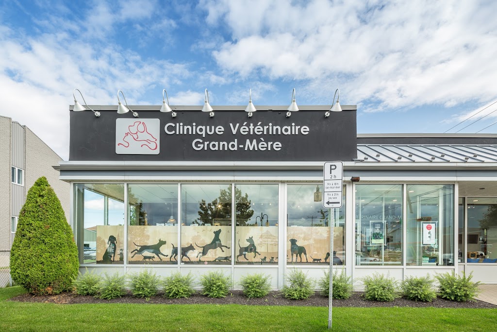 Clinique Vétérinaire Passionimo Grand-Mère | 799 Avenue de Grand-Mère, Grand-Mère, QC G9T 2H8, Canada | Phone: (819) 533-3663