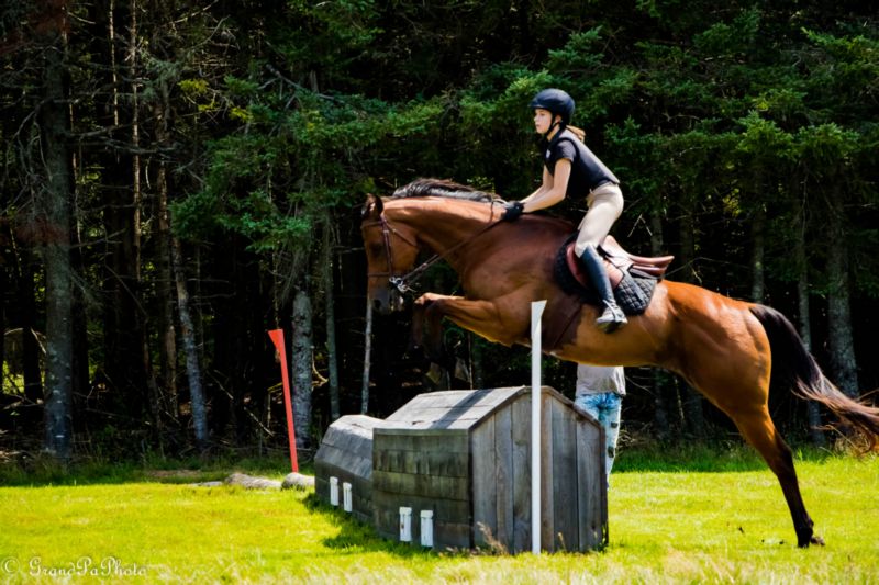 Hampton Riding Centre | 560 Lakeside Rd, Smithtown, NB E5N 3Y6, Canada | Phone: (506) 650-5999