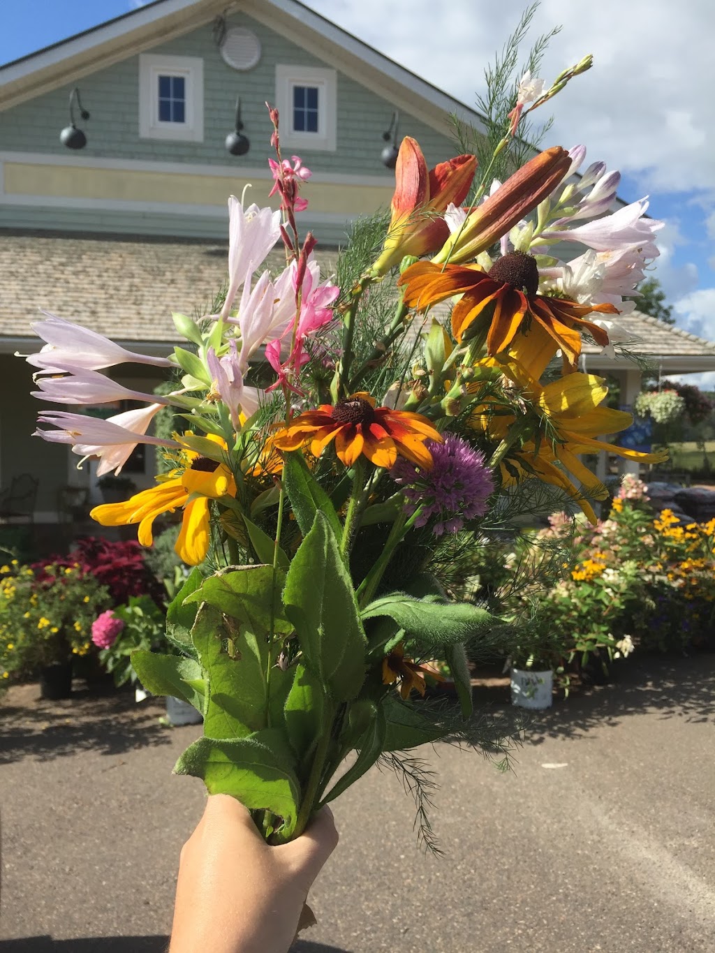 Island Pride Garden Co | 19905 All Weather Hwy, Hunter River, PE C0A 1N0, Canada | Phone: (902) 964-2444