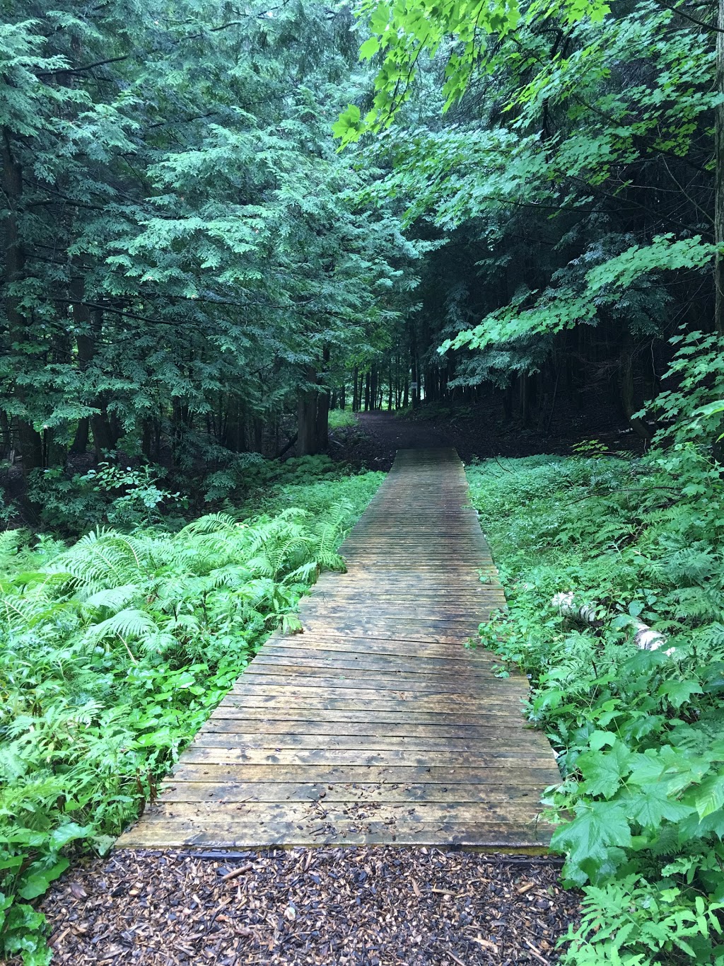 Treetop Eco-Adventure Park | 53 Snow Ridge Ct, Oshawa, ON L1H 7K4, Canada | Phone: (905) 655-1113
