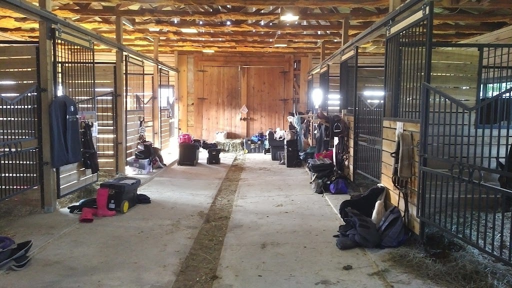 Meadowlarke Stables | 5154 3 Line, Acton, ON L7J 2L8, Canada | Phone: (800) 295-0419