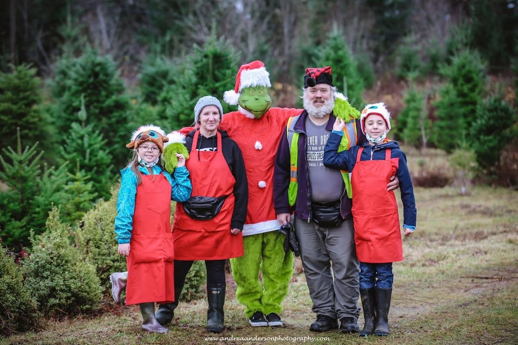 Alberni Christmas Trees | 7374 Airport Rd, Port Alberni, BC V9Y 8Y9, Canada | Phone: (403) 597-2269