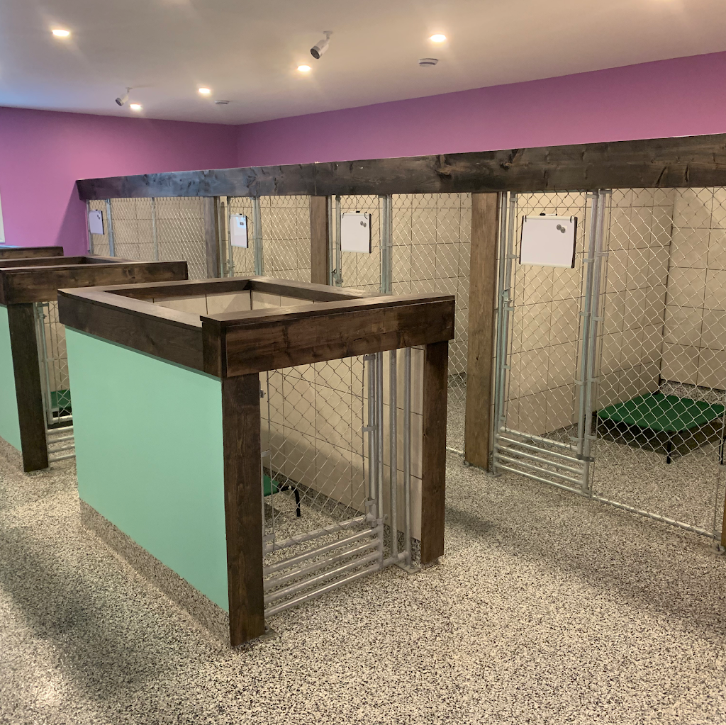 The Bark Club NB | 325 Whites Settlement Rd, Cocagne, NB E4R 3P4, Canada | Phone: (506) 871-4854
