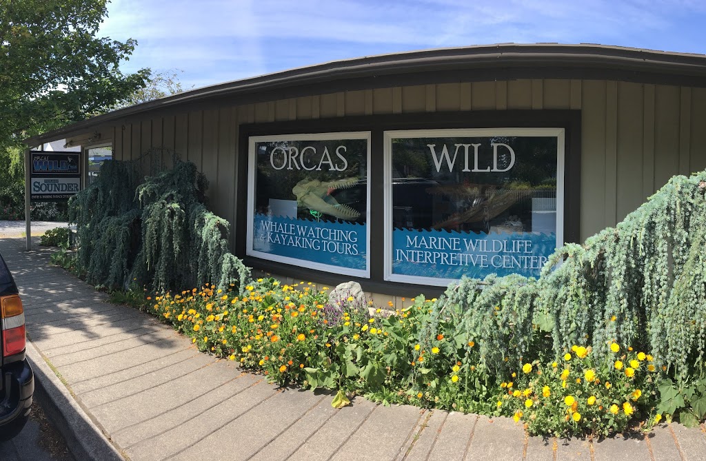 Orcas W.I.L.D. | 414 N Beach Rd, Eastsound, WA 98245, USA | Phone: (360) 376-3411