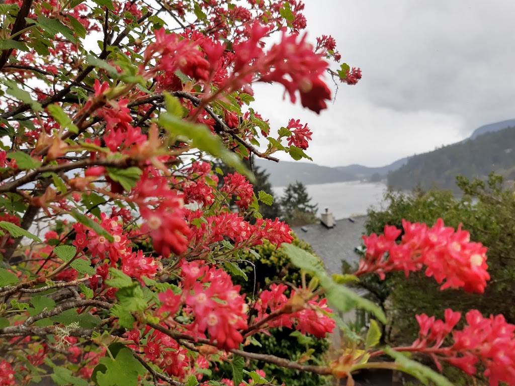 Armand Landscaping and Masonry | 2922 Allenby Rd, Duncan, BC V9L 6V3, Canada | Phone: (778) 350-1713
