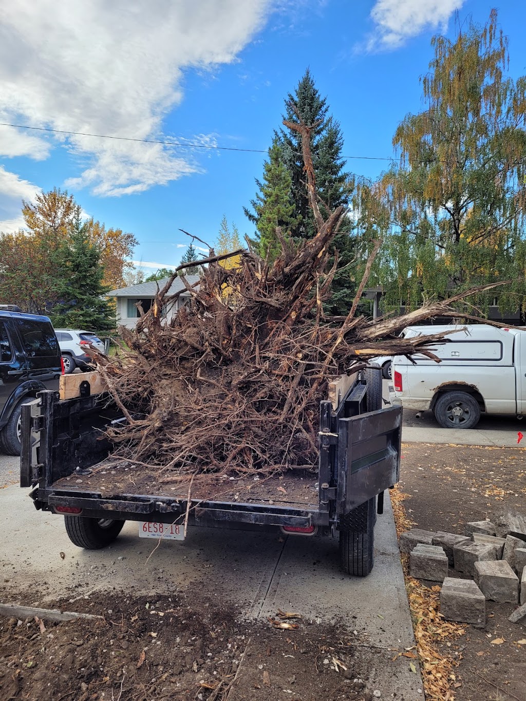 Eco-Land tree services and landscaping LTD | 119 Coachway Rd SW, Calgary, AB T3H 1B2, Canada | Phone: (587) 966-1905