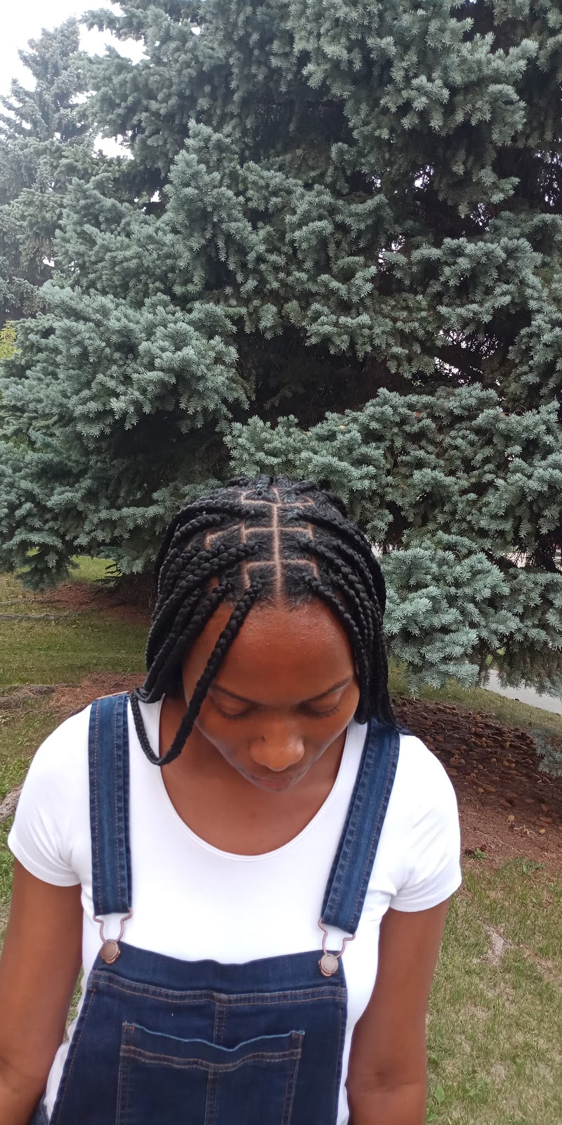 Kweennbraidz | 43 Erin Woods Dr SE, Calgary, AB T2B 2R9, Canada | Phone: (587) 707-3645