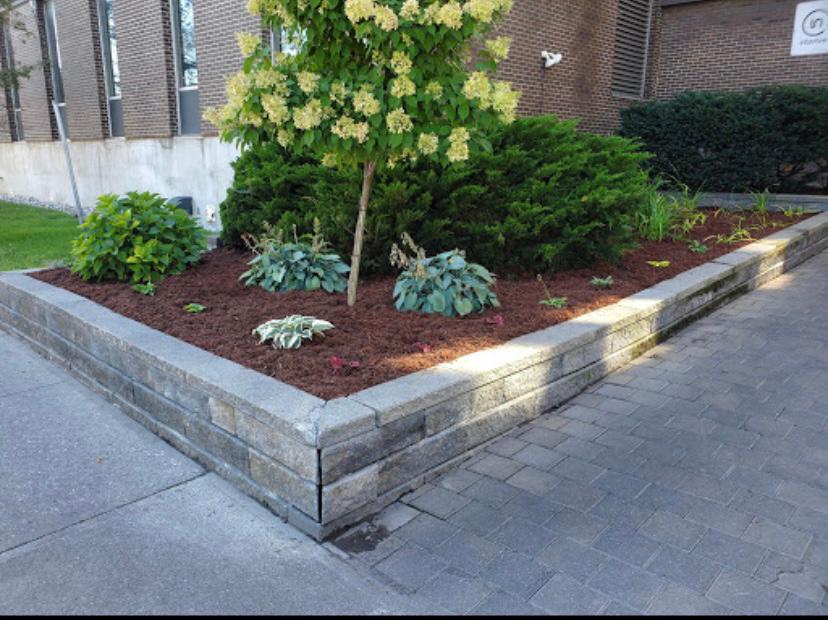 KRG Lawn Care | 39 Bramhall Cir, Brampton, ON L6V 2G3, Canada | Phone: (647) 472-3790