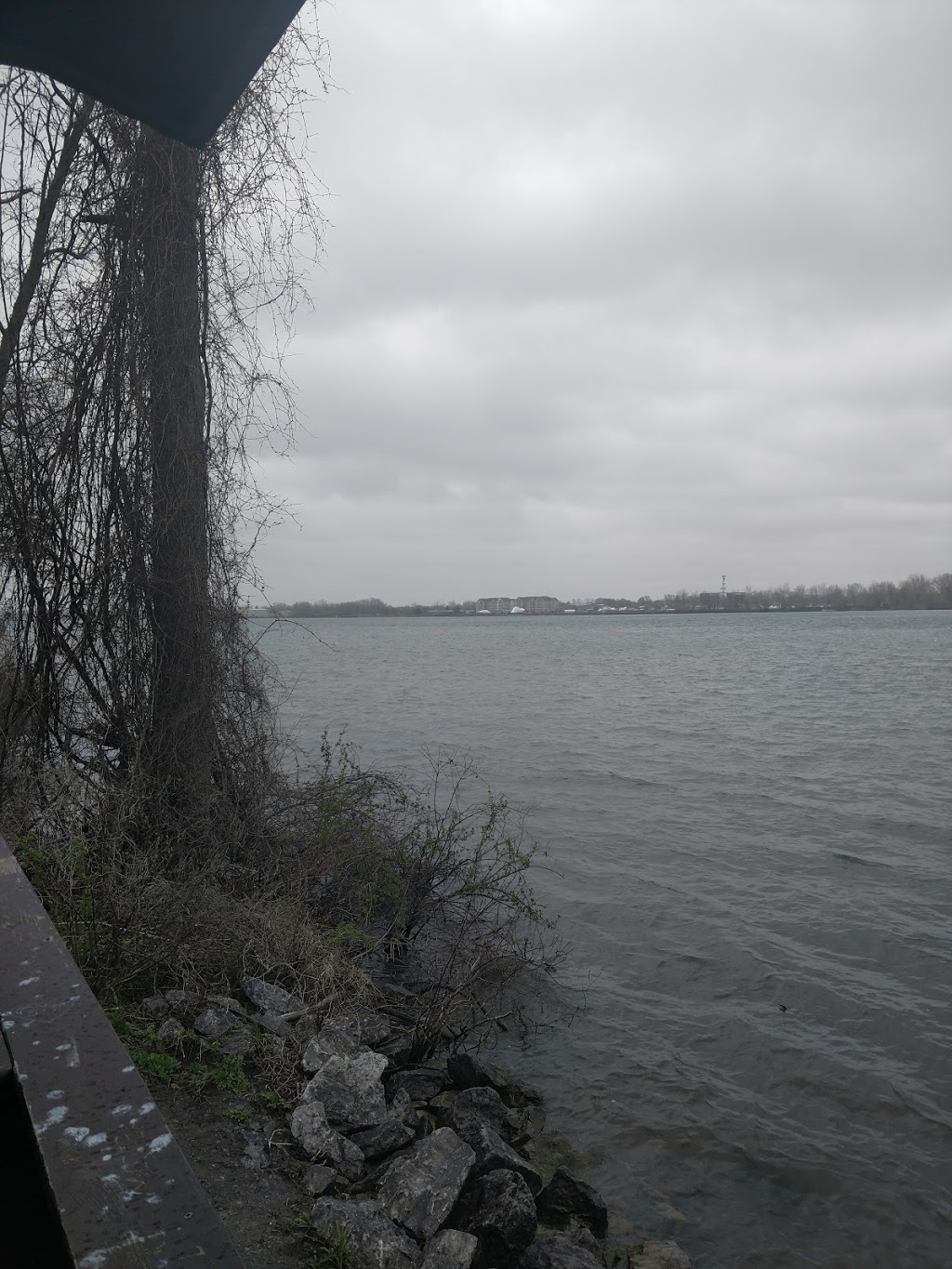 Spicer Creek Wildlife Management Area | Grand Island, NY 14072, USA