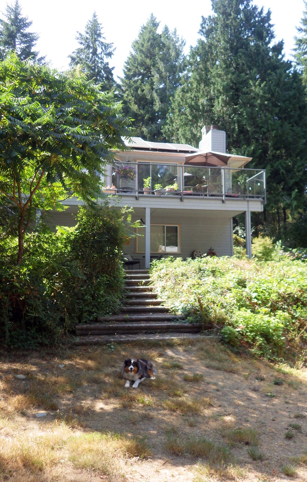 Joyful Notes Music Studio | 870 Chapman Rd, Cowichan Valley C, BC V0R 1L4, Canada | Phone: (250) 882-3145