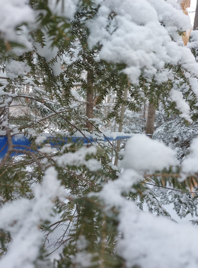 Sand Hills Maple Products | 1090 Manser Rd, Wellesley, ON N0B 2T0, Canada | Phone: (519) 656-3347