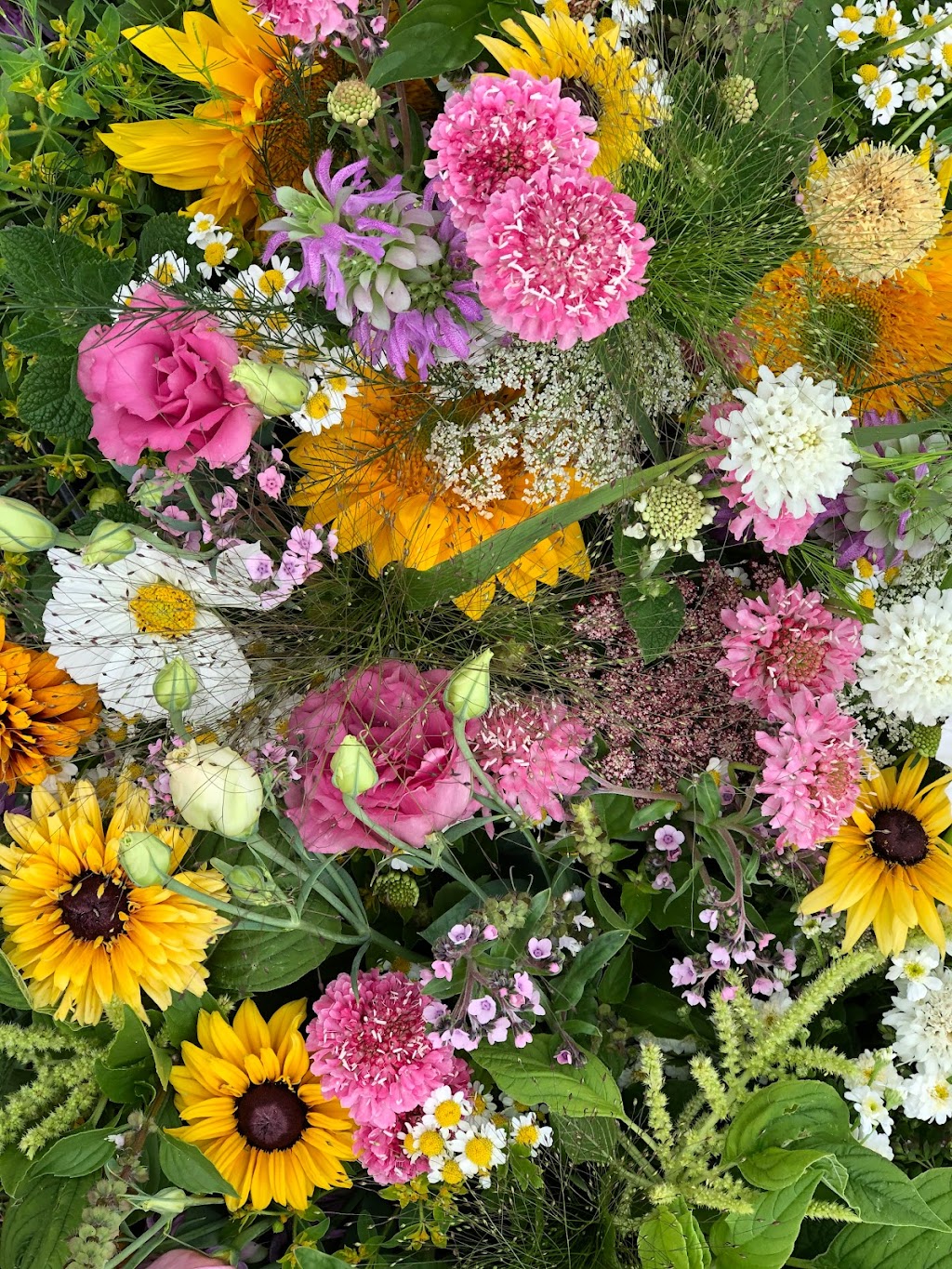 Two Blooms Flower Farm | 31 Gary Rd, Steeves Mountain, NB E1G 0S9, Canada | Phone: (506) 380-1170