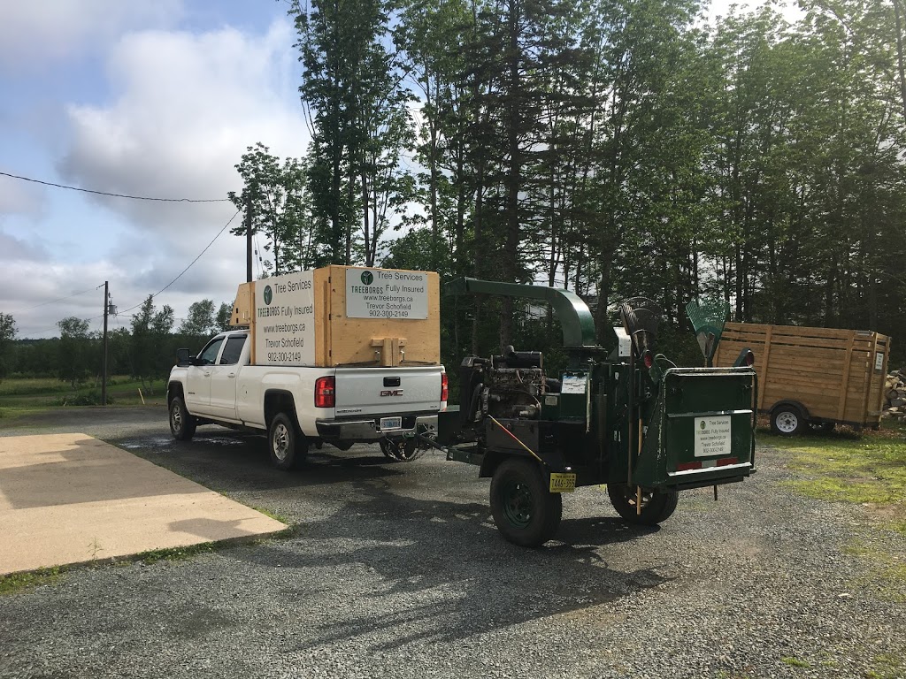 Treeborgs | 1738 Deep Hollow Rd, Wolfville, NS B4P 2R2, Canada | Phone: (902) 300-2149