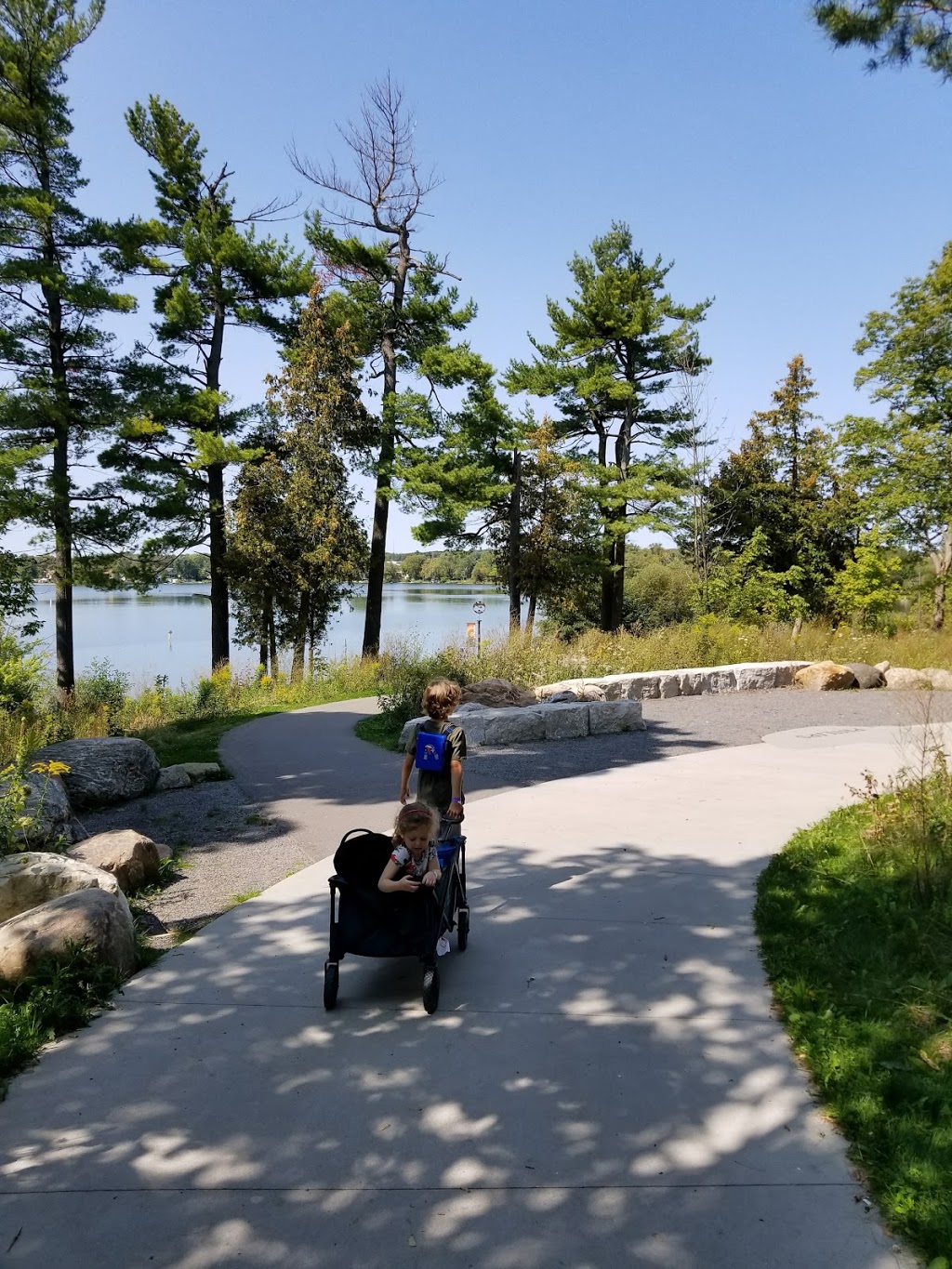 Lake Wilcox Park | 55 Olde Bayview Ave, Richmond Hill, ON L4E 3C8, Canada | Phone: (905) 771-8800