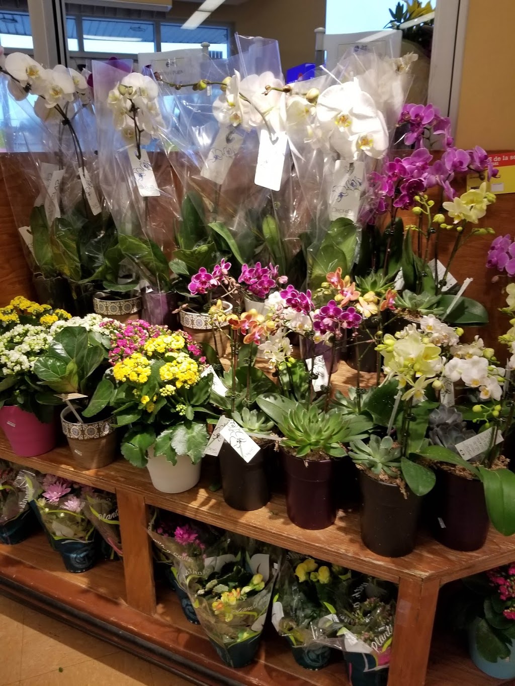 IGA Famille Guilbault | 3450 Rue Queen, Rawdon, QC J0K 1S0, Canada | Phone: (450) 834-2633