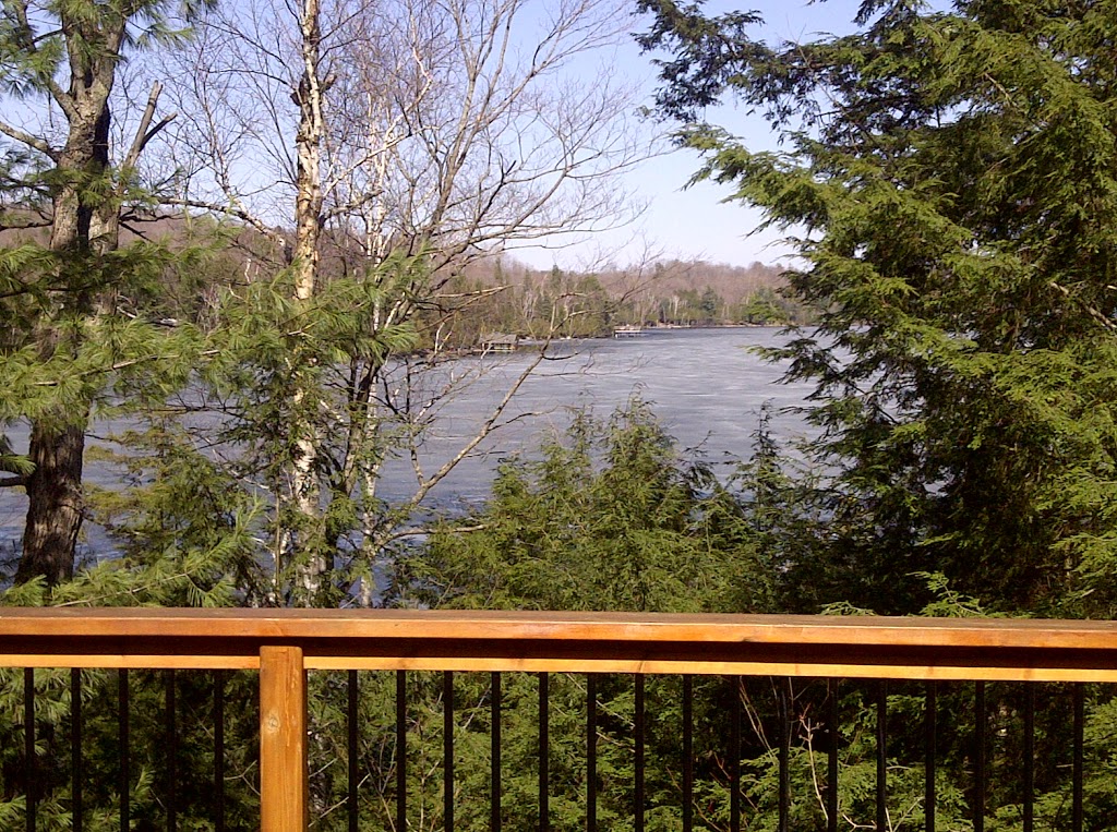 Radka Hnilicova - Real estate sales representative - Your Choice | 1552 Hwy 118 East, Bracebridge, ON P1L 1X1, Canada | Phone: (647) 296-8754
