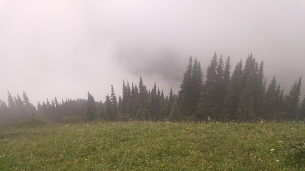 Liumchen Ecological Reserve | Rosedale, BC V0X 1X0, Canada | Phone: (800) 689-9025
