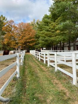 Wild Rose Farms | 407 Foss Rd, Fenwick, ON L0S 1C0, Canada | Phone: (905) 929-2747