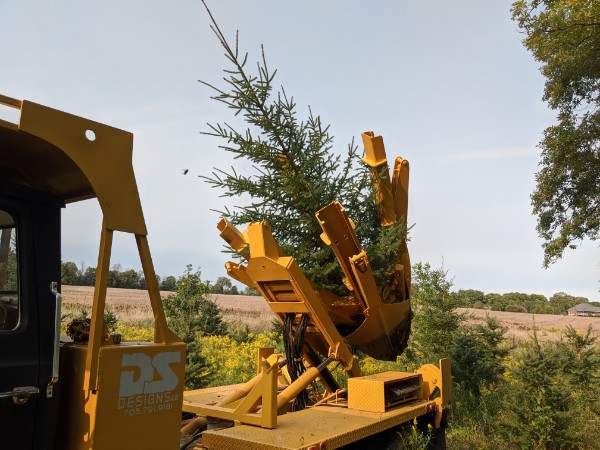 Green Acres Tree and Solar Farm | 1651 4 Line N, Shanty Bay, ON L0L 2L0, Canada | Phone: (705) 812-0741