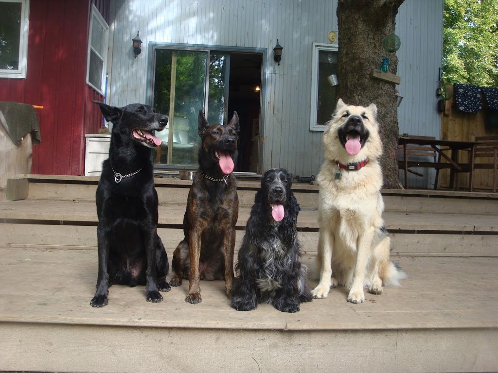 The Polite Pooch | Jonathan St, Uxbridge, ON L9P 1B5, Canada | Phone: (647) 268-3887
