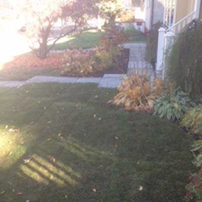TLS LawnCare and Landscaping | 15 St NW, Prince Albert, SK S6V5S4, SK S0J 2N0, Canada | Phone: (306) 960-3430