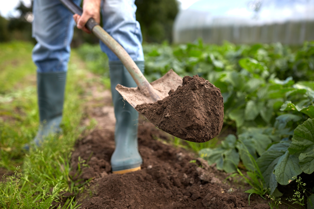 Dirt Cheap Inc. | 43 Manitou Dr, Kitchener, ON N2C 1K9, Canada | Phone: (519) 804-4300