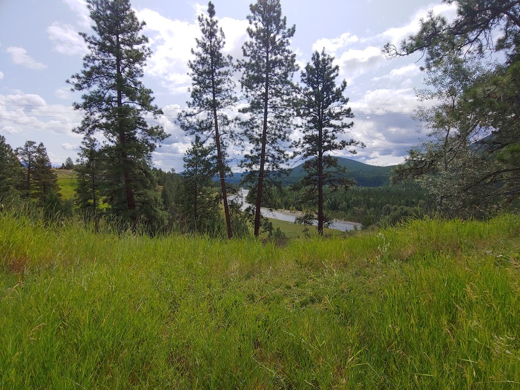 Purcell Golf | 415 302 Ave, Kimberley, BC V1A 0A6, Canada | Phone: (250) 427-4161