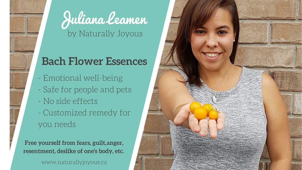 Naturally Joyous | 125 Bedford Rd, Kitchener, ON N2G 3A3, Canada | Phone: (519) 804-1697