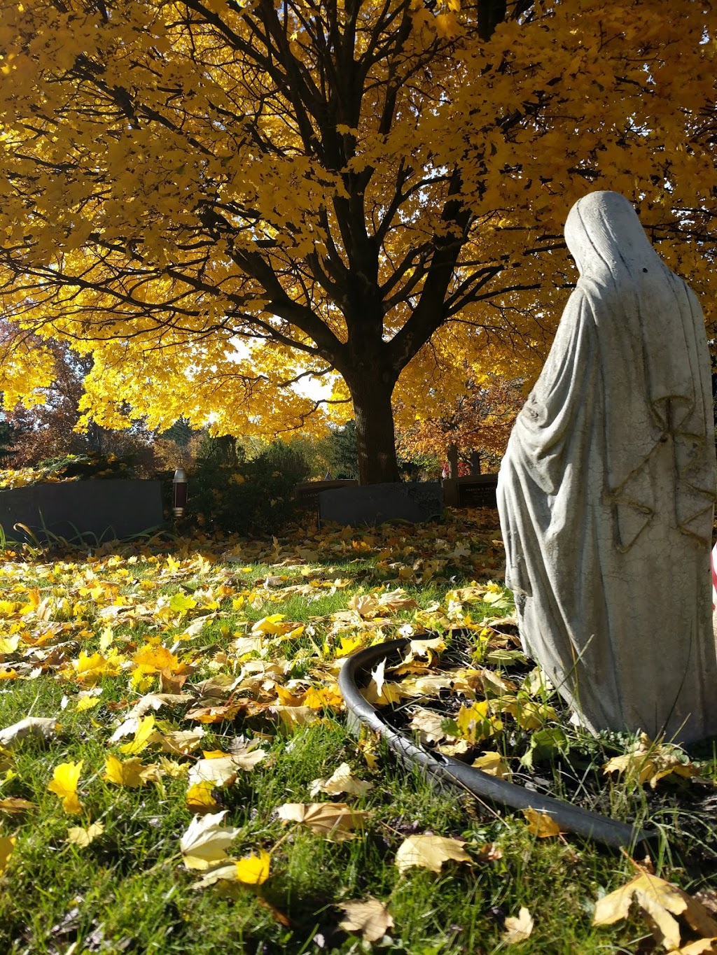 Cold Spring Cemetery | 4849 Cold Springs Rd, Lockport, NY 14094, USA | Phone: (716) 434-3450