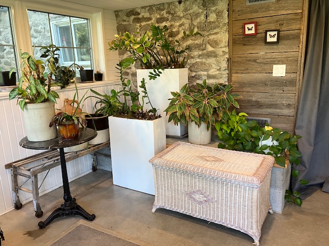 Lisa Bradburn Psychotherapy | 183 Robins Rd, Roseneath, ON K0K 2X0, Canada | Phone: (416) 573-6500