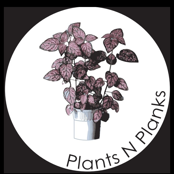 Plants N Planks | 48 Vanessa Pl, Whitby, ON L1N 6T3, Canada | Phone: (289) 600-7122