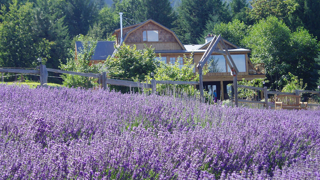 Sacred Mountain Lavender | 401 Musgrave Rd, Salt Spring Island, BC V8K 1V5, Canada | Phone: (250) 653-2315