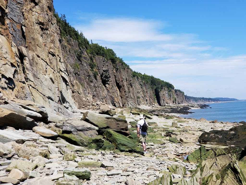 Cape House Restaurant | 650 Cape Enrage Rd, Waterside, NB E4H 4Z4, Canada | Phone: (506) 887-2275