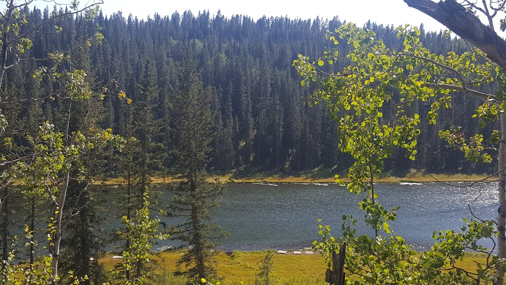 Wetland Gazebo | Montenaro Bay, Cochrane, AB T4C 0A5, Canada