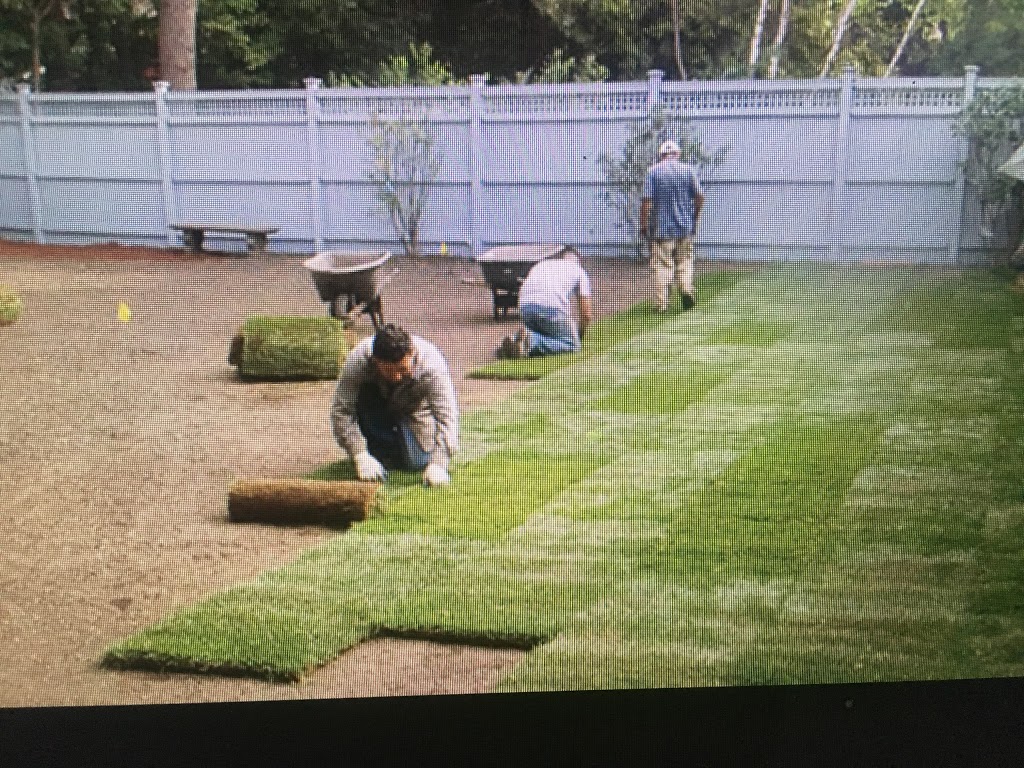 Citywide Lawn Care | 9375 Longwoods Rd, Delaware, ON N0L 1E0, Canada | Phone: (519) 652-6666