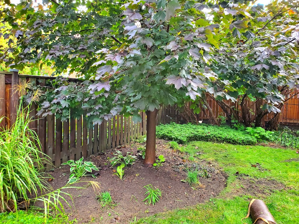 Beecroft And Sons Landscaping | 1410 Garth St, Hamilton, ON L9B 1R6, Canada | Phone: (289) 259-3922