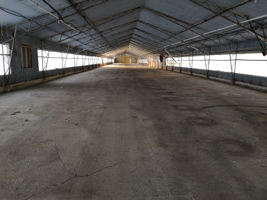 King Storage | 4453 Breen Rd, Putnam, ON N0L 2B0, Canada | Phone: (519) 550-1382