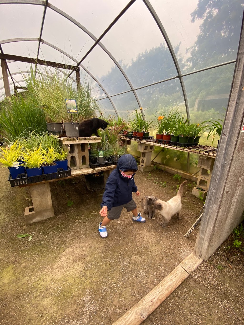 Smeltzers Garden Centre | 3163 Concession Rd 2, Ripley, ON N0G 2R0, Canada | Phone: (519) 395-5206