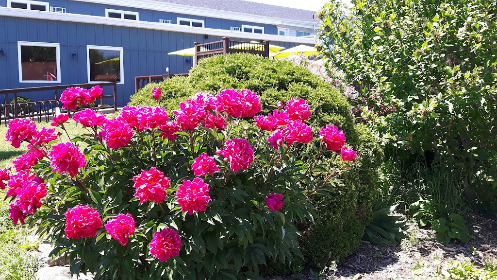 Erieau Eau Buoy Variety | 1005 Vidler Ave, Erieau, ON N0P 1N0, Canada | Phone: (519) 676-8266